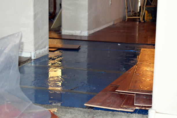 Professional Basement Flood Cleanup technician working in Cottonwood, ID